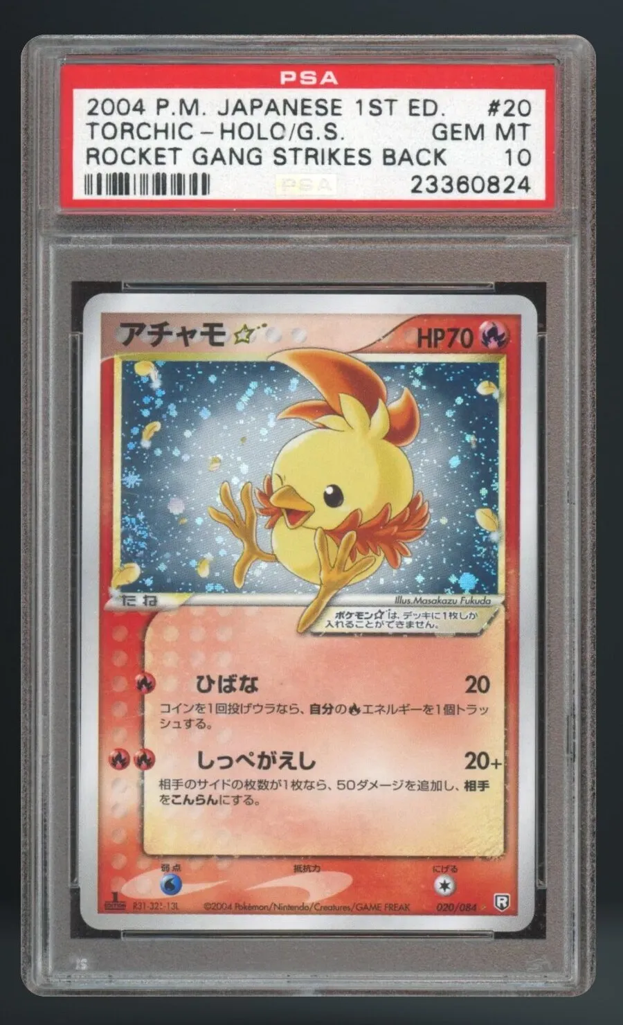 Torchic-Holo graded slab