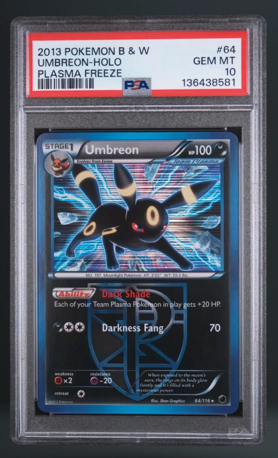 Umbreon-Holo — PSA 10 graded slab