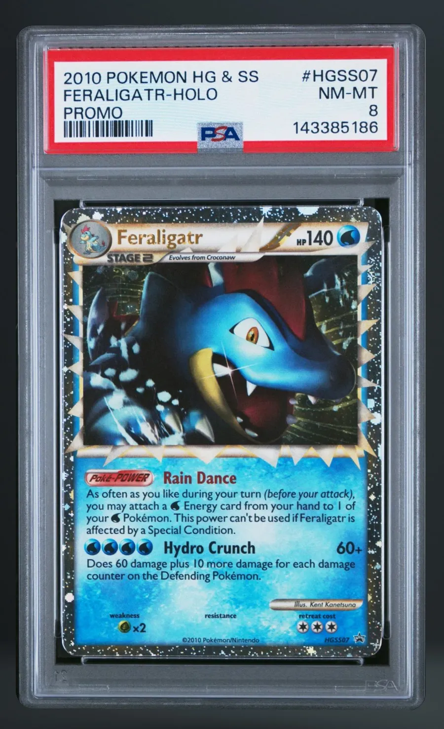Feraligatr-Holo — PSA 8 graded slab