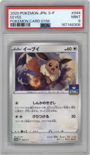 2020 POKEMON JPN. S-P EEVEE POKEMON CARD GYM