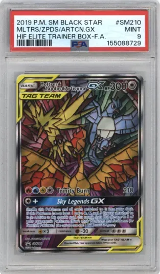 2019 P.M. SM BLACK STAR MLTRS ZPDS ARTCN.GX HIF ELITE TRAINER BOX-F.A.