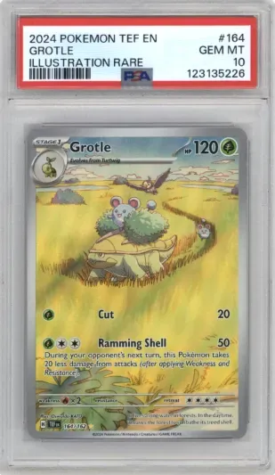 2024 POKEMON TEF EN GROTLE ILLUSTRATION RARE