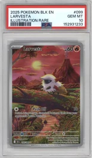 2025 POKEMON BLK EN LARVESTA ILLUSTRATION RARE